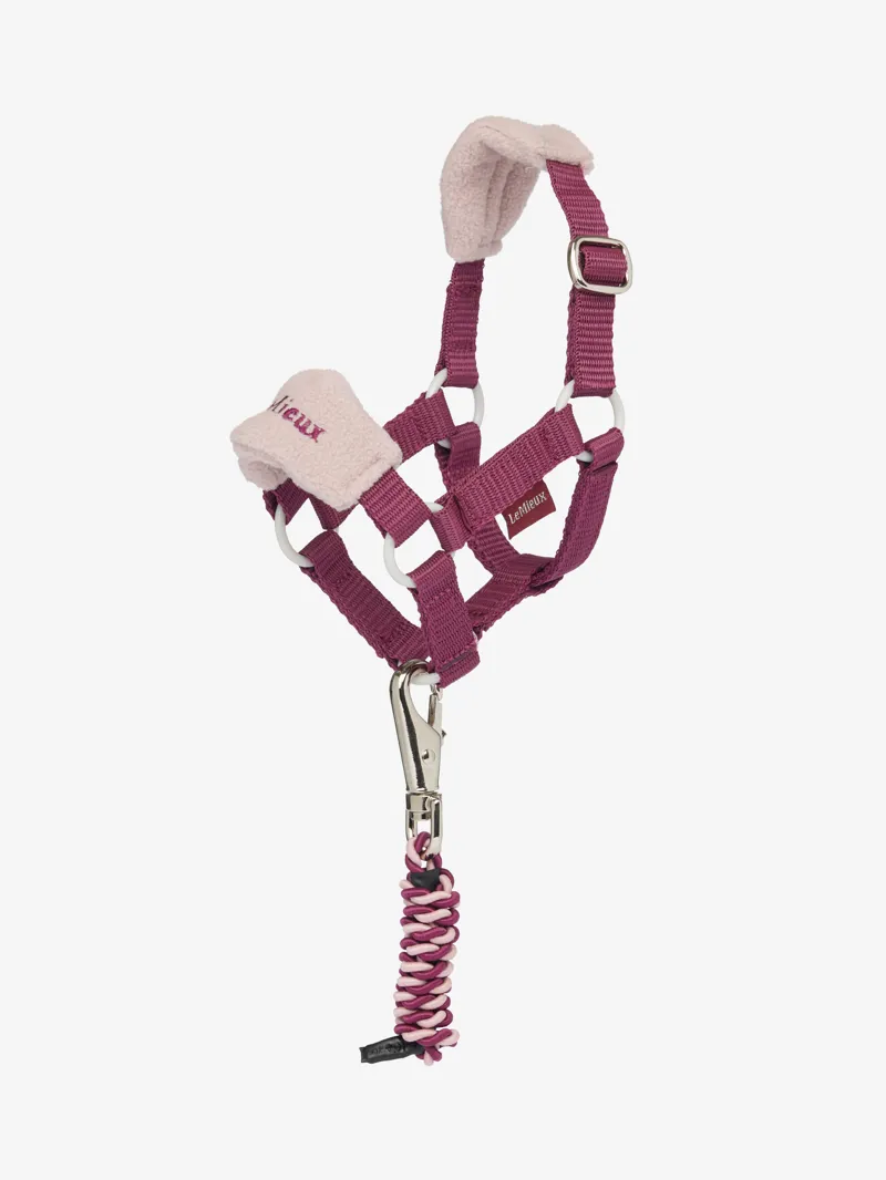 LeMieux Toy Pony Vogue Headcollar and Leadrope - Blackberry