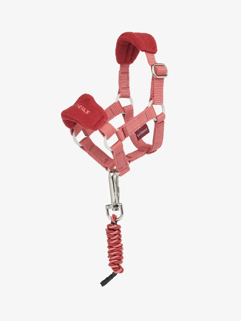 LeMieux Toy Pony Vogue Headcollar and Leadrope - Spiced Earth