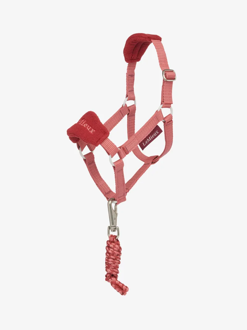 LeMieux Hobby Horse Vogue Headcollar and Leadrope Spiced Earth