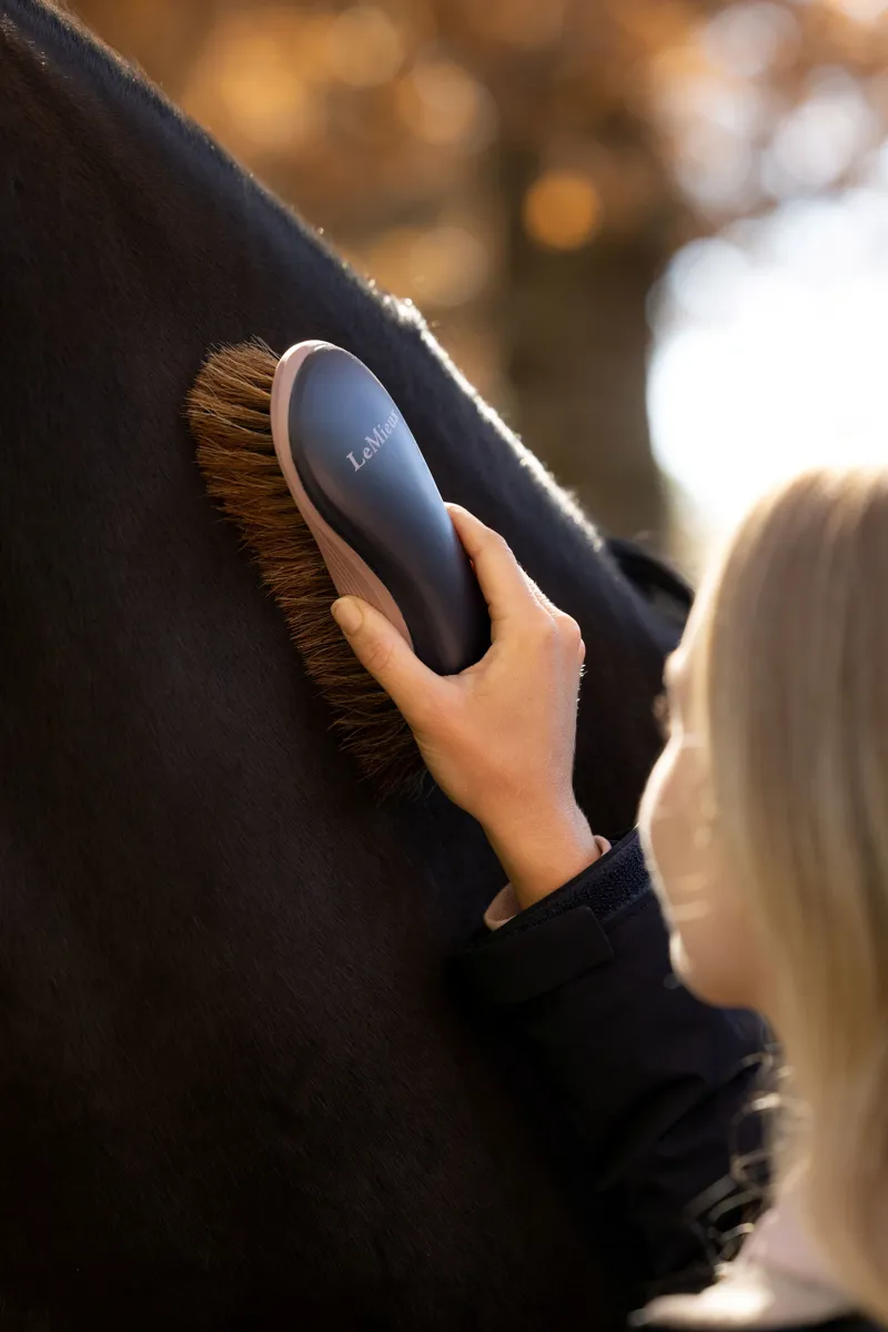 LeMieux Dandy Brush - Navy-2