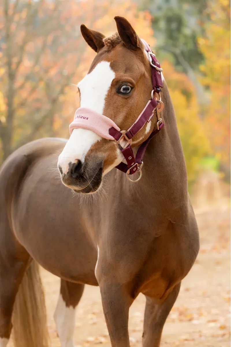 LeMieux Vogue Headcollar and Leadrope - Blackberry