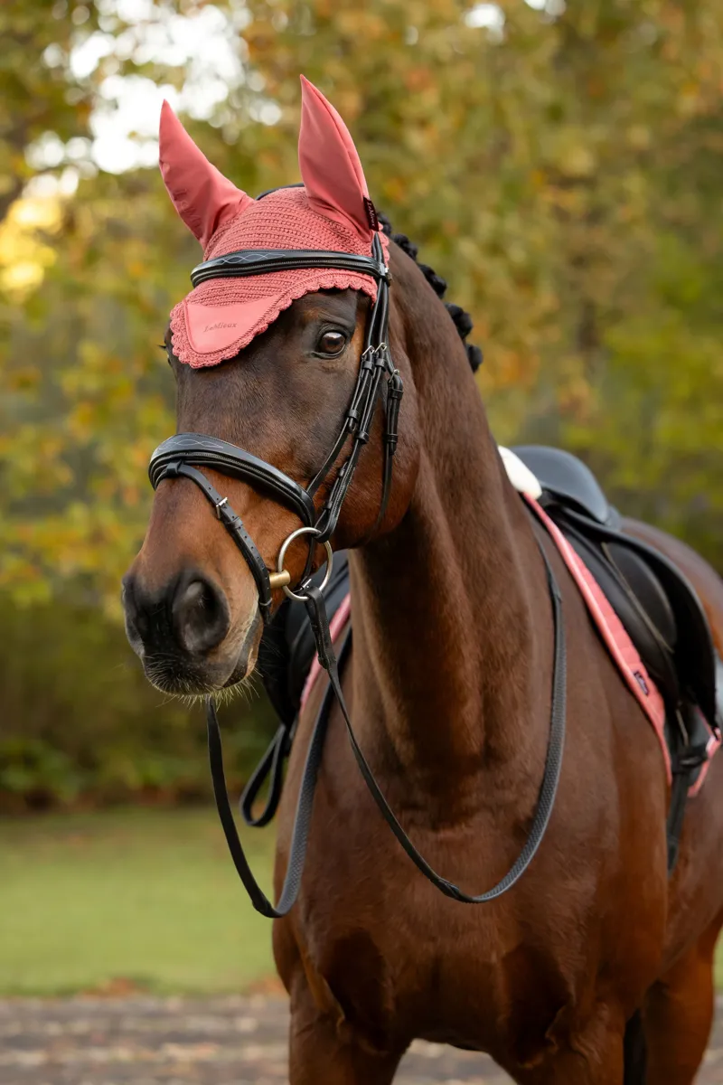 LeMieux Classic Fly Hood - Spiced Earth-1