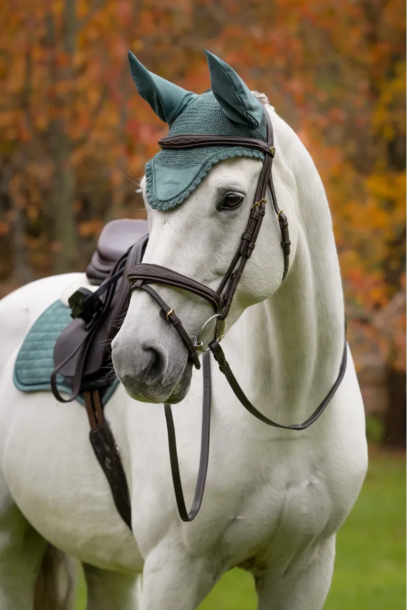 LeMieux Classic Fly Hood - Aloe-1