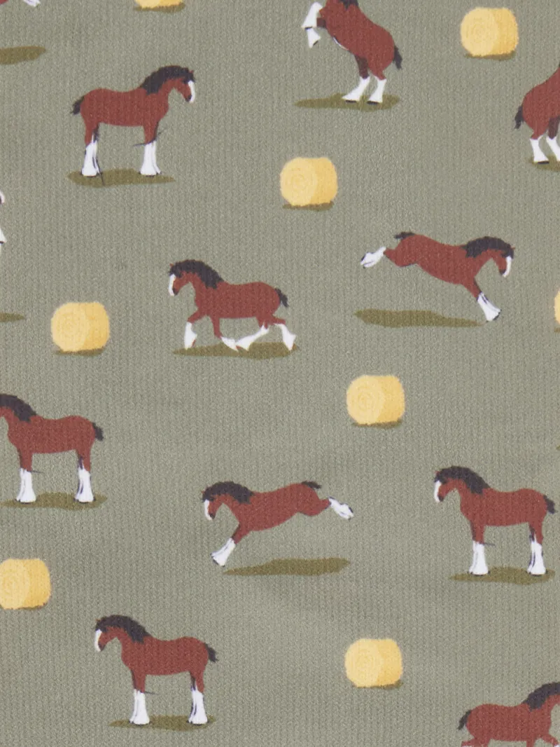 LeMieux Footsie Socks - Clydesdale/Willow-2
