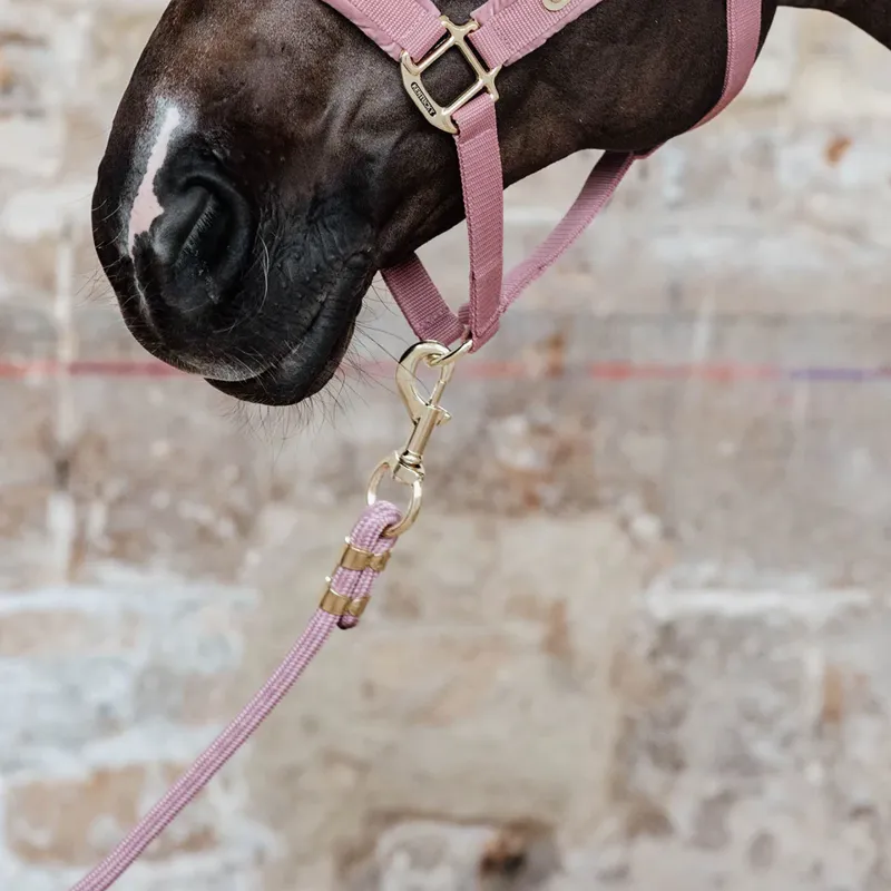 Kentucky Lead Rope - Old Rose 2m-1