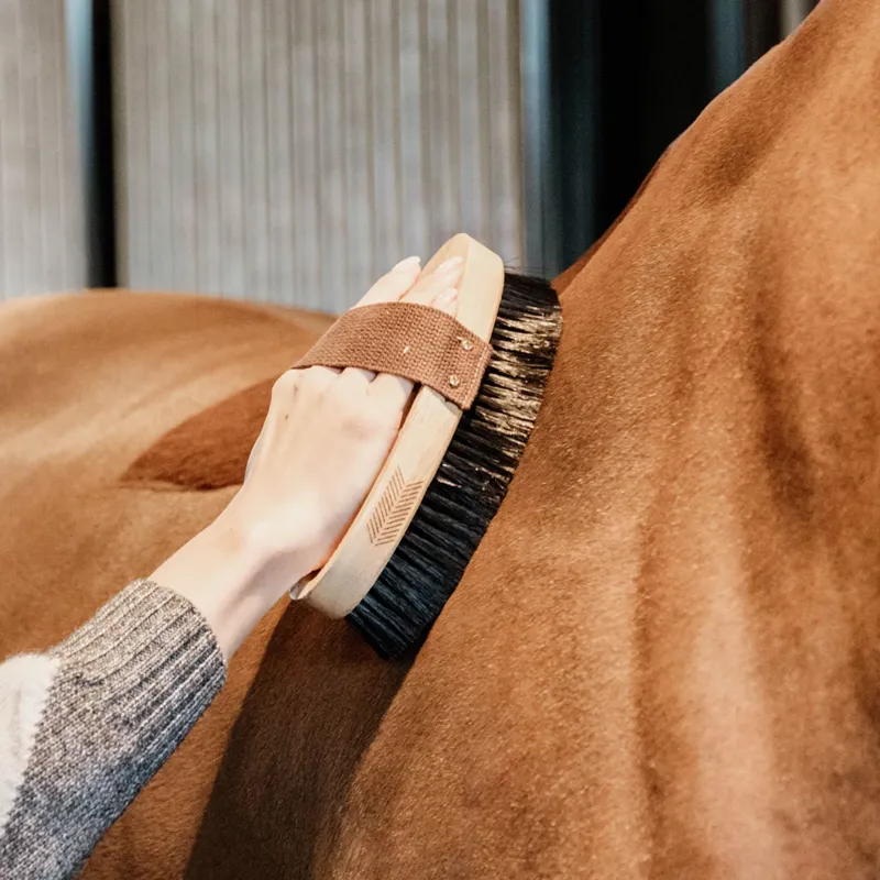 Kentucky Grooming Deluxe Oval Body Brush Hard