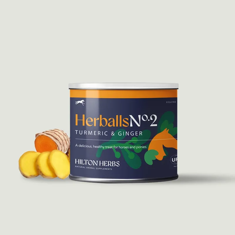 Hilton Herbs Herballs Turmeric Ginger in Orange-1
