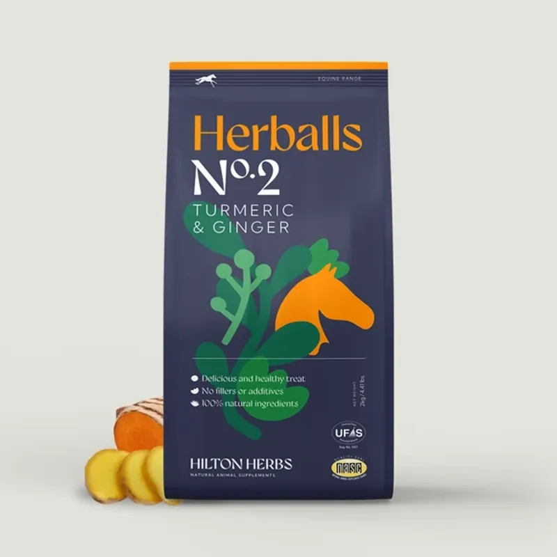Hilton Herbs Herballs Turmeric Ginger in Orange-3