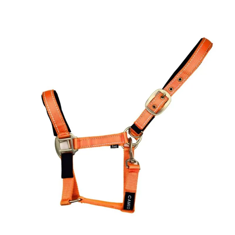 Cameo Fieldsafe Headcollar - Orange/Reflective