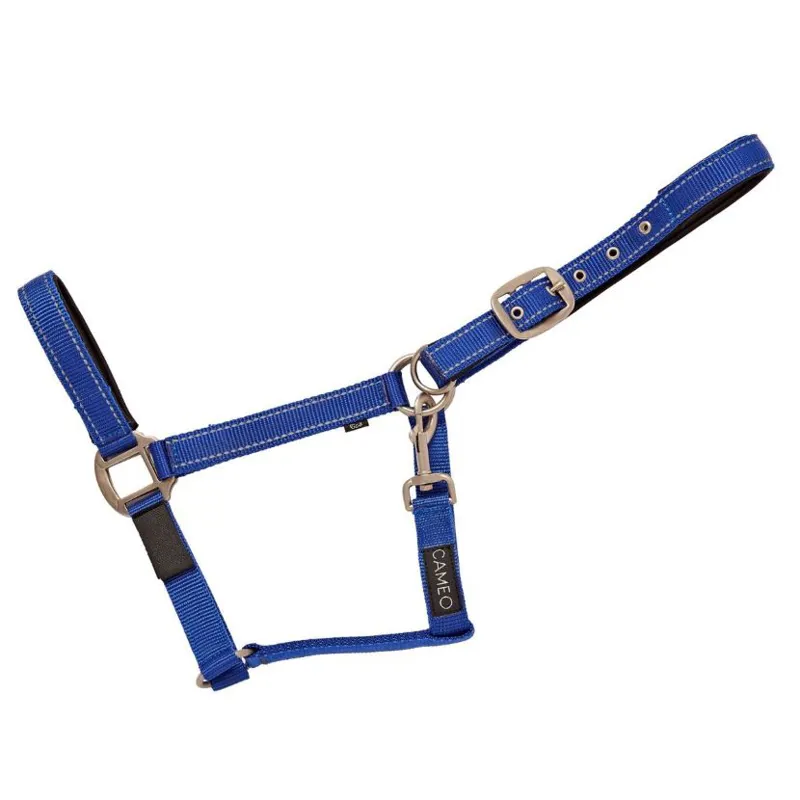 Cameo Fieldsafe Headcollar - Royal/Reflective