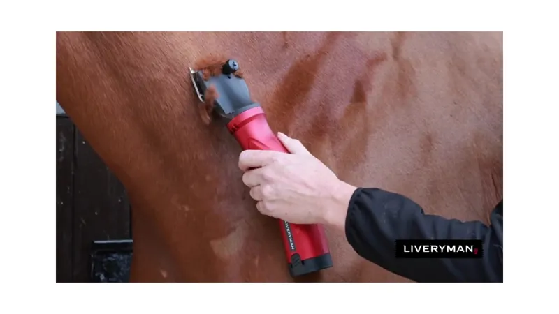 Liveryman Phoenix Clipper-4