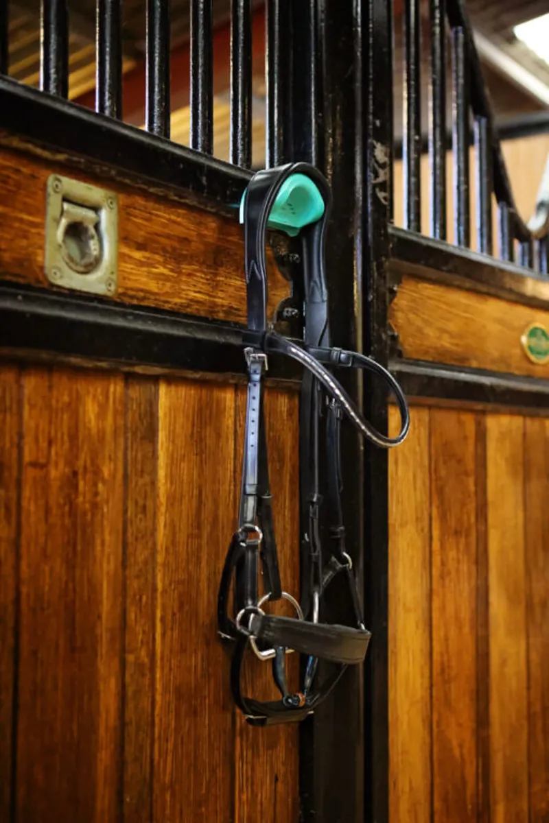 Equihook Magnetic Bridle Hook 'Colne Saddlery' Shiny Navy-2