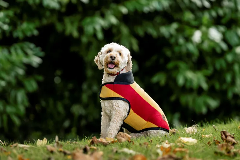 Horseware Newmarket Dog Fleece - Witney Gold
