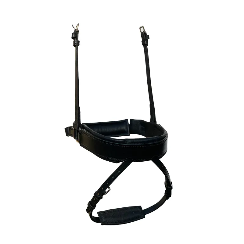 Fairfax Noseband - Flash Black