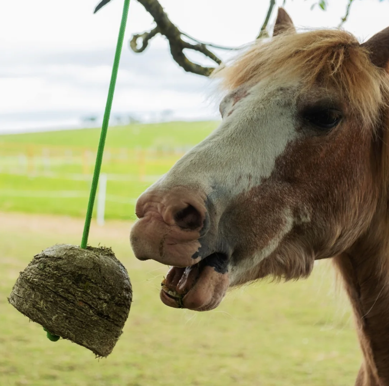 Silvermoor Swingers-1