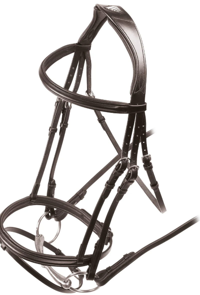 Velociti Padded Raised Flash Bridle in Brown-1