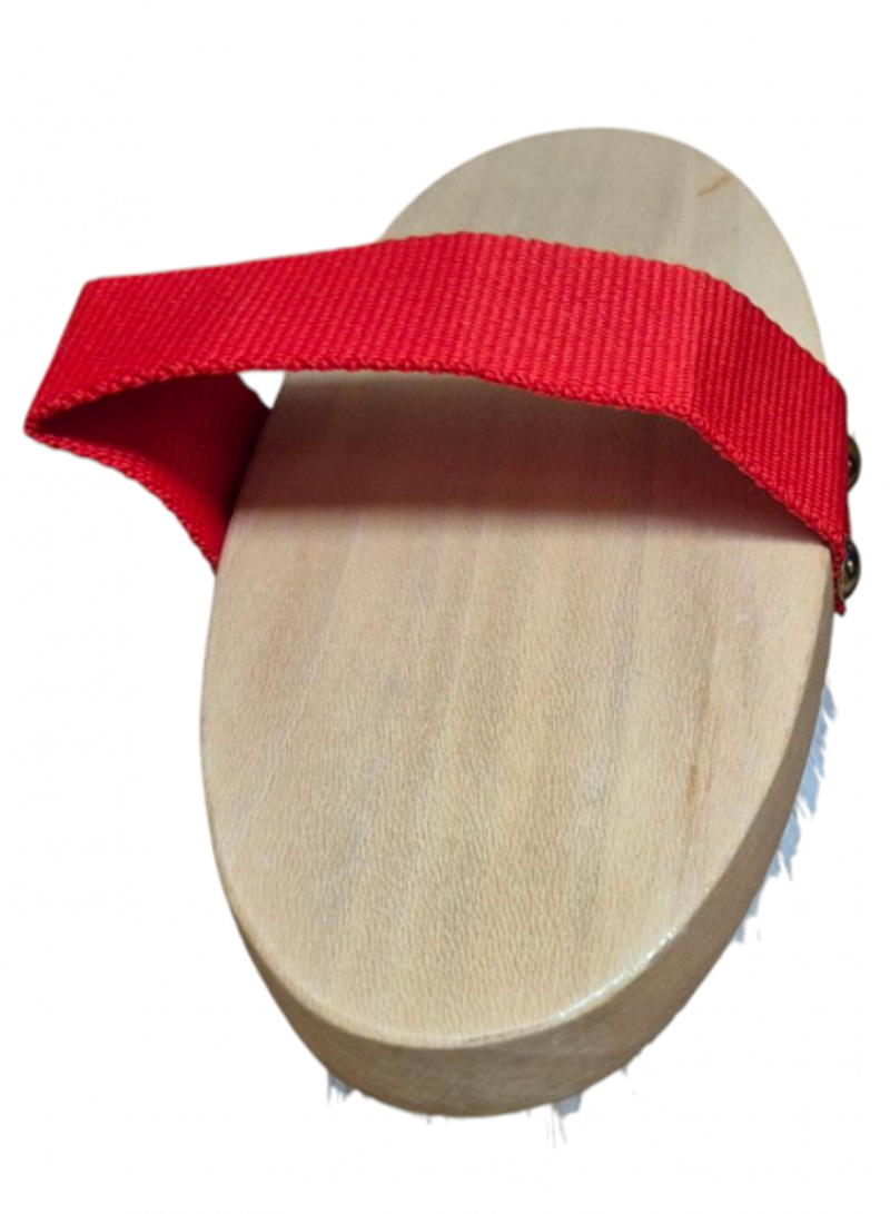 STS Body Brush 2P - Red-1