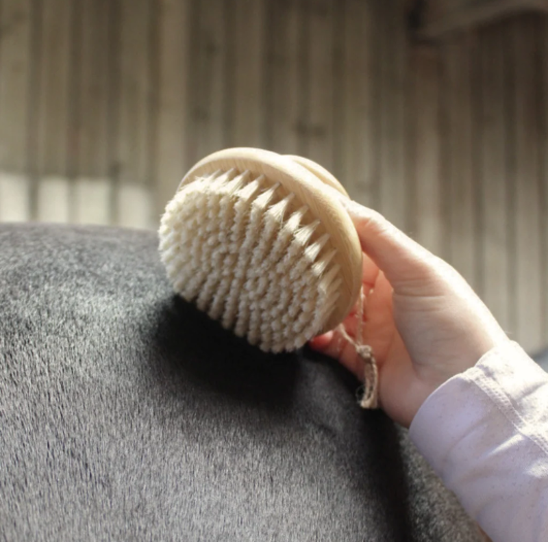 Smart Grooming Natural Brush - Mixed Bristle Brush-4