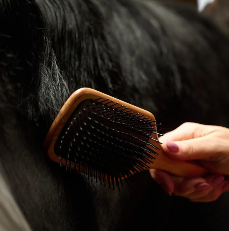 Smart Grooming Mane and Tail Brush-4