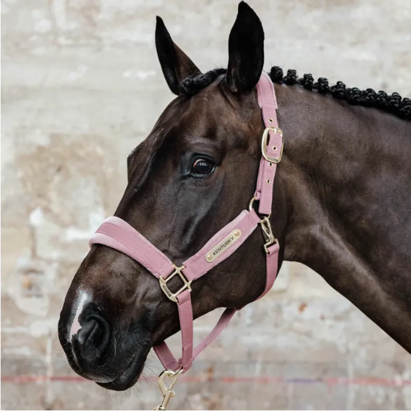 Kentucky Velvet Head Collar - Old Rose