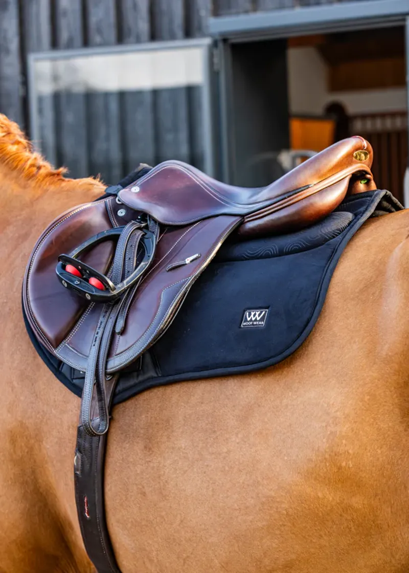 Woof Elite Comfort Plus Saddle Pad CC - Black-1