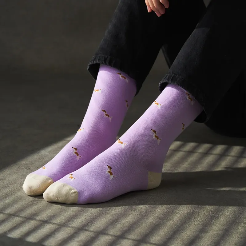 KOSI London Socks - The Jack Russell-3