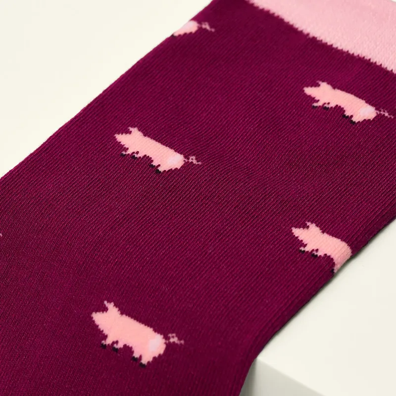 KOSI London Socks - The Pig-1