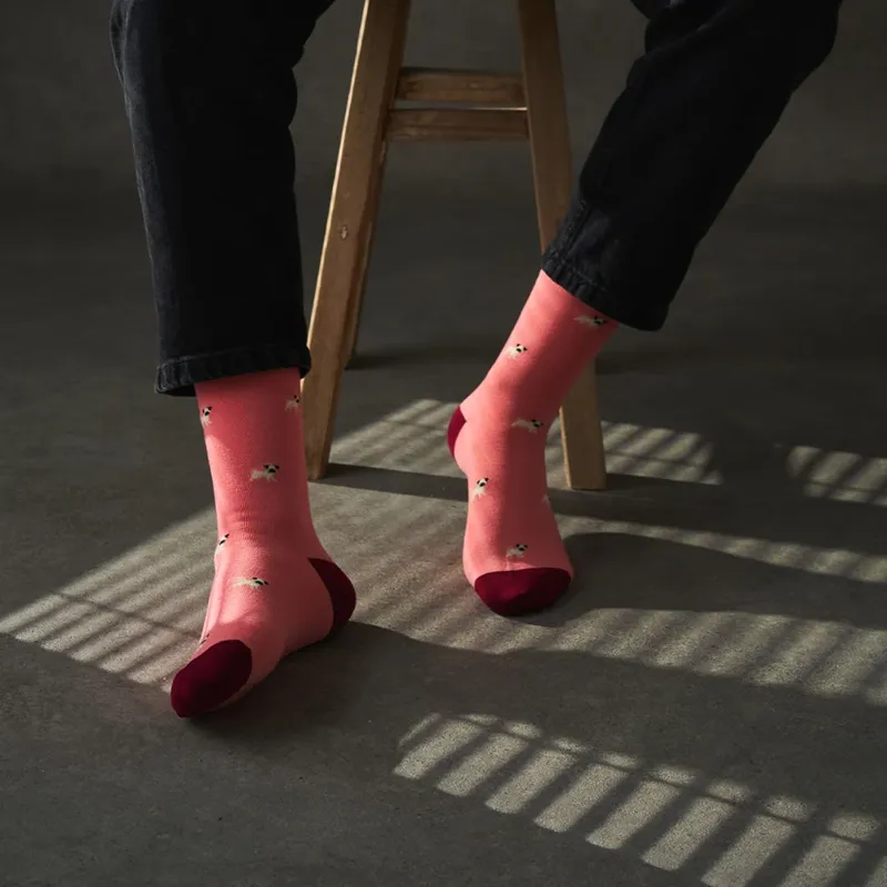 KOSI London Socks - The Pug-3