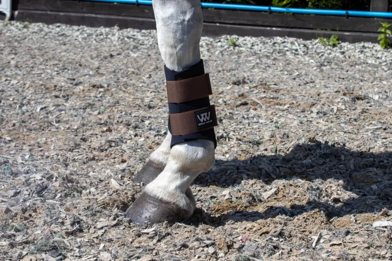 Woof Wear Club Brushing Boot Chocolate/Black-1
