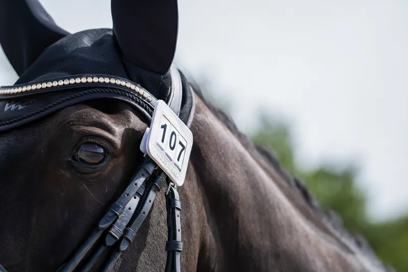 Woof Wear Bridle Number Holder White-4