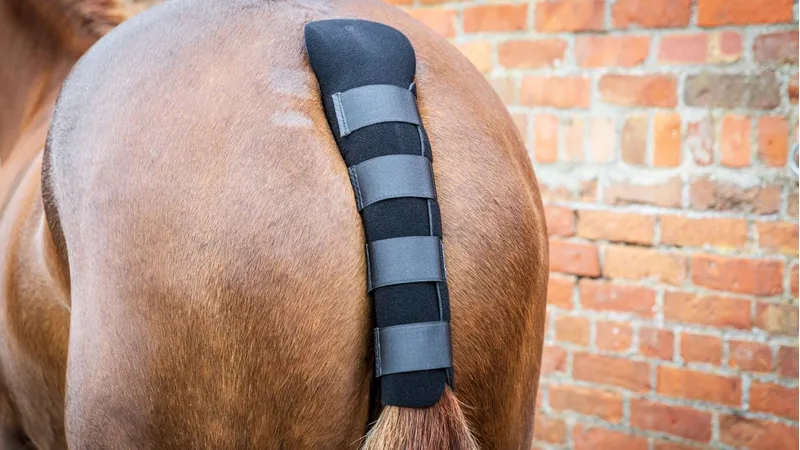 Woof Wear Tail Guard Black-2
