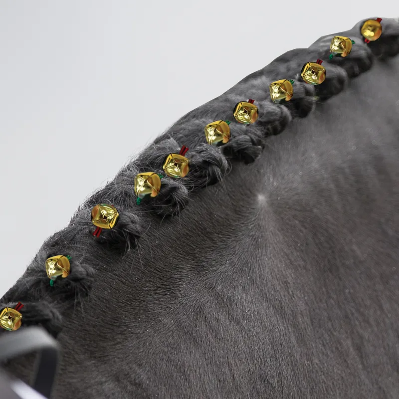 Equetech Christmas Plaiting Bands - Crystal 10 pack