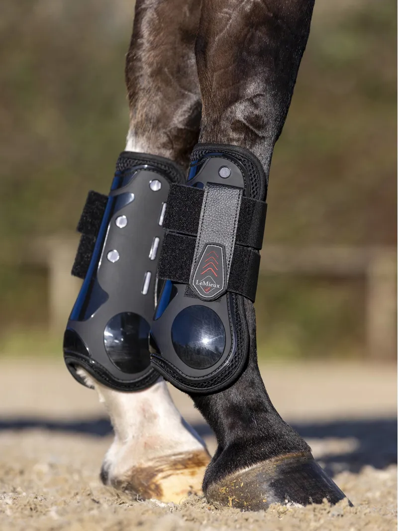 LeMieux Derby ProJump Tendon Boot - Black-1