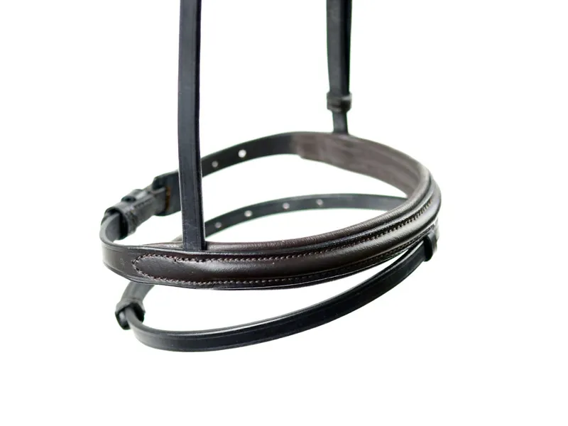 Ascot Padded Flash Noseband - Black
