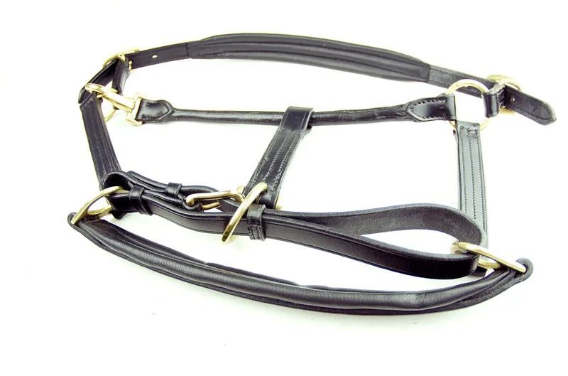 Ascot Leather Padded Headcollar Black