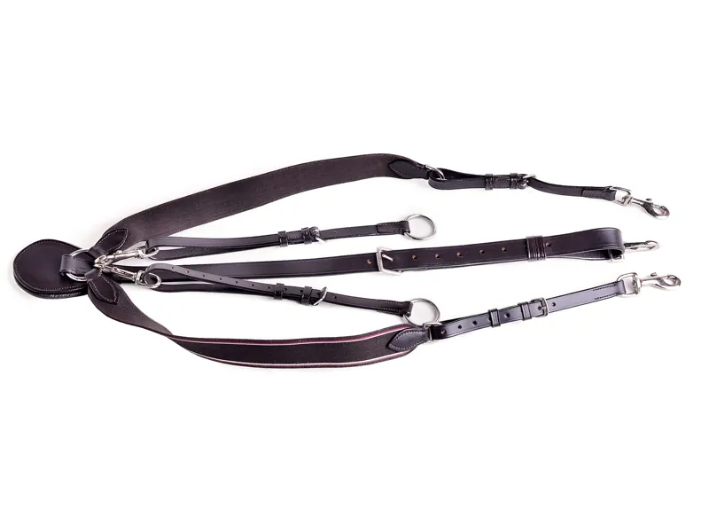 Ascot V Check Breastplate - Brown