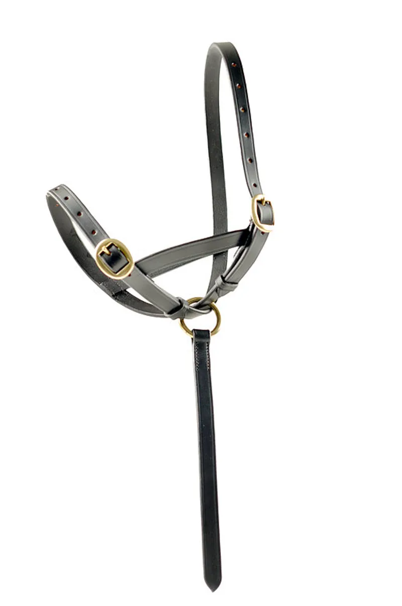Ascot Leather Foal Slip 5/8 16mm