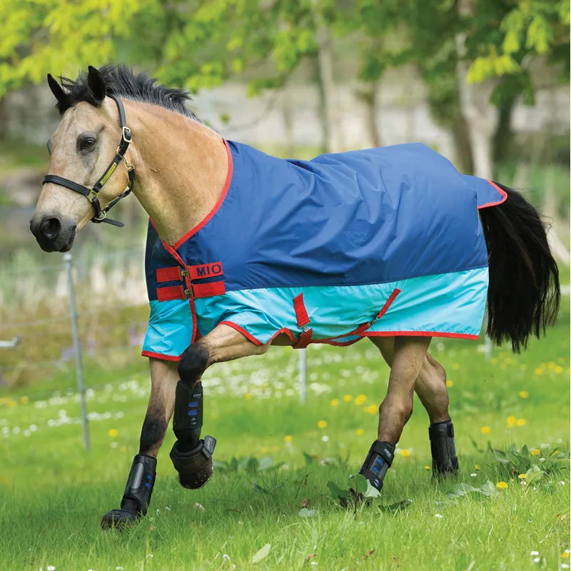 Mio Turnout Rug Lite 0g Dark Blue Aqua and Red 