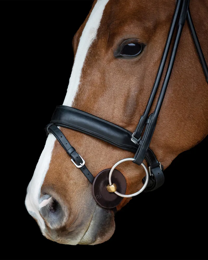 Acavallo Classic Gel Contoured Bit Guards in Brown-3