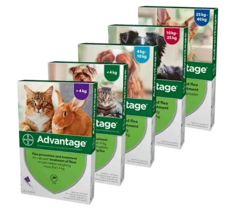 Advantage Spot-On Solution
