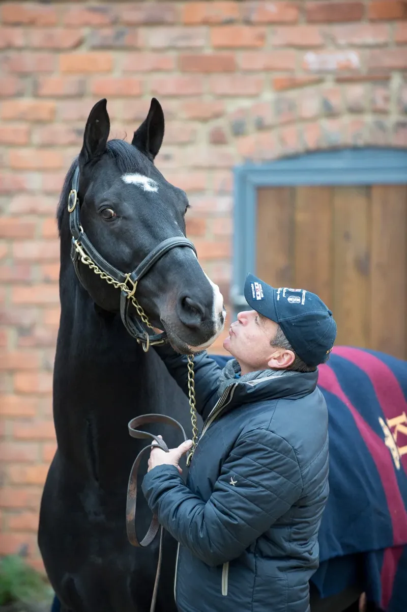 Alan Davies Face Brush - Navy-1