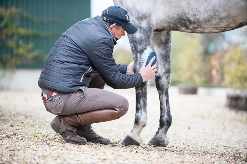 Alan Davies Mr. Flicky - Navy-2