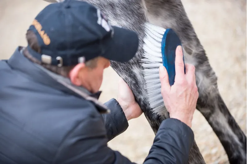 Alan Davies Mr. Flicky - Navy-3