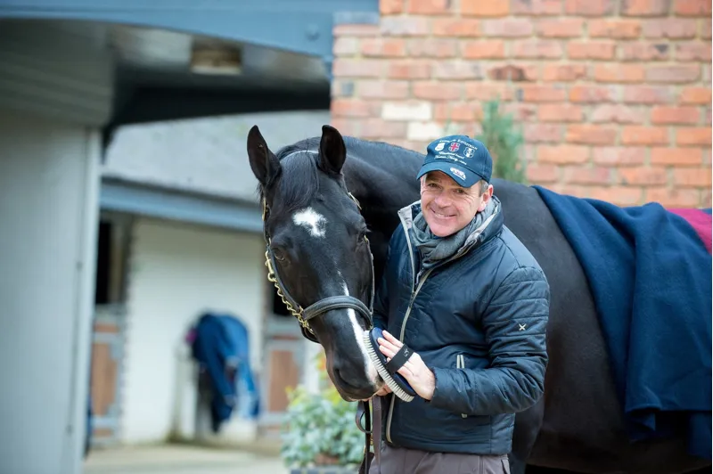 Alan Davies Mr. Glossy Horse Finishing Brush - Navy-3