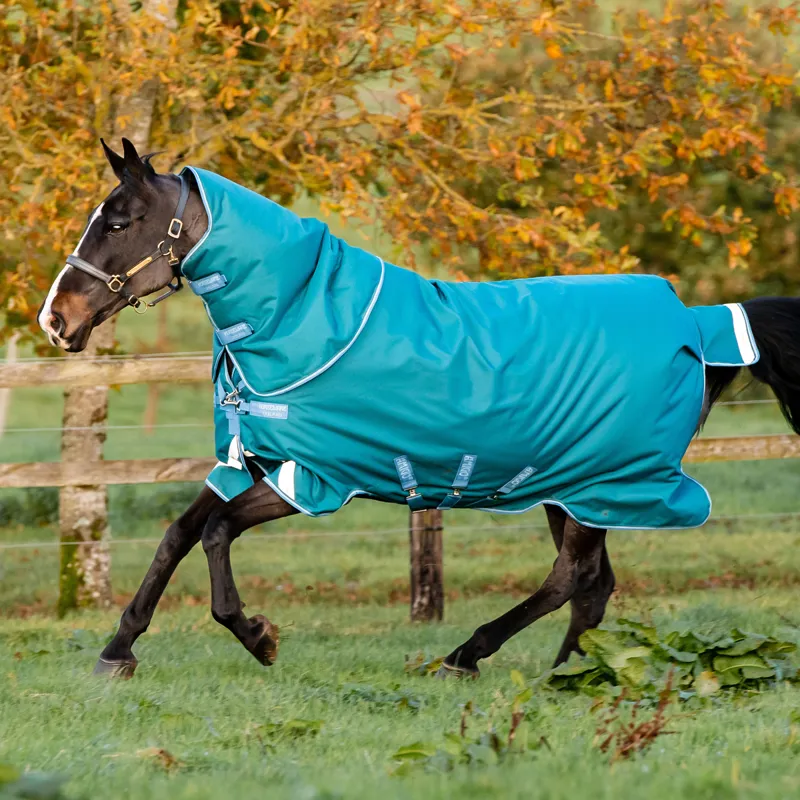 Amigo Bravo 12 Plus Heavy 400g Turnout Rug - Storm Green