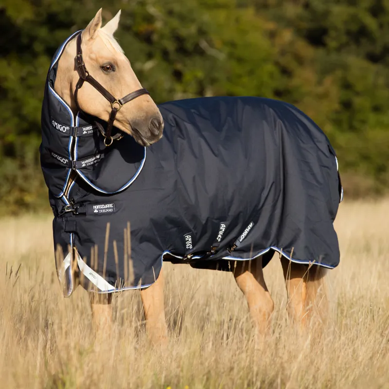 Amigo Bravo 12 Plus Medium 250g Turnout Rug - Black/Strong Blue/ Black 