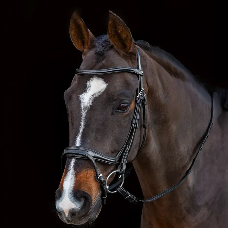 Schockemöhle Ancona Select Bridle - Black/Silver-1