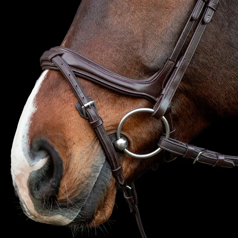 Schockemöhle Ancona Select Bridle - Espresso/Silver-3