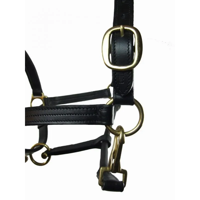 Best Padded Leather Headcollar - Havana-1