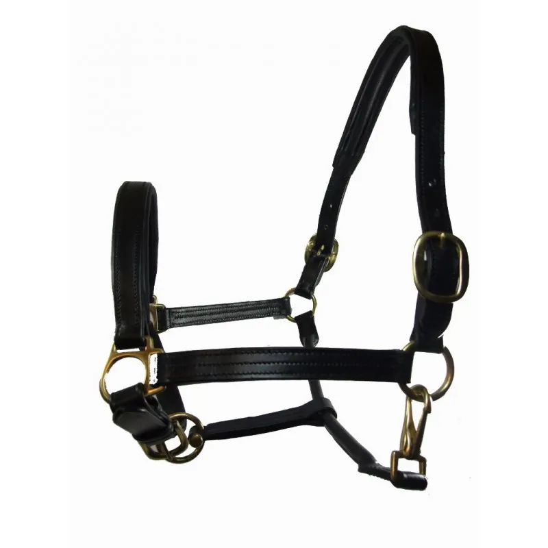 Best Leather Headcollar Black